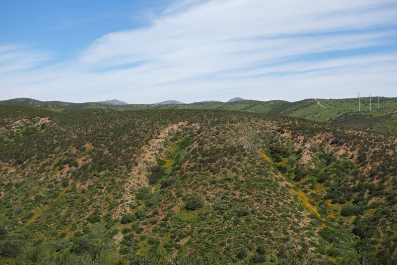 The view to the northeast spans from one ridge to the next.