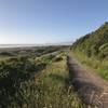 Looking back toward Clam Beach and Trinidad on the Hammond Trail.