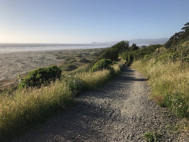 Hammond Trail near Highway 101 south of Clam Beach.