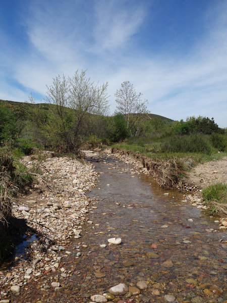 This is the main stream in Spring Canyon.