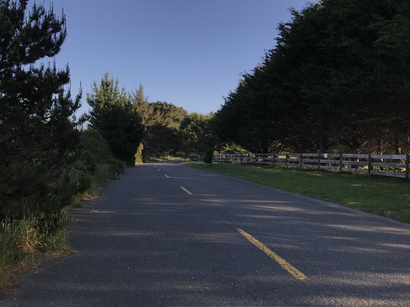 Letz Avenue section of Hammond Trail in northern McKinleyville.