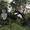 Old trees and signage along the Parker Creek Trail.