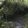 The branches and brush give the trail a tunnel like feeling in places.