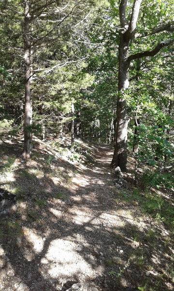 At this point, the singletrack leads away from the bluff.