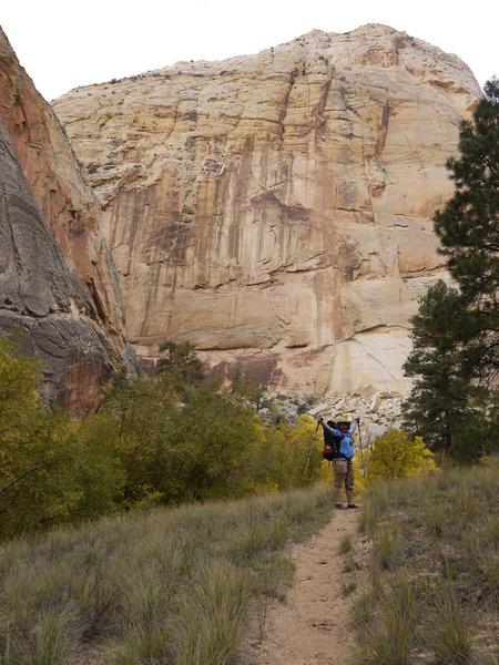 Hiking brings joy in Lower Death Hollow.