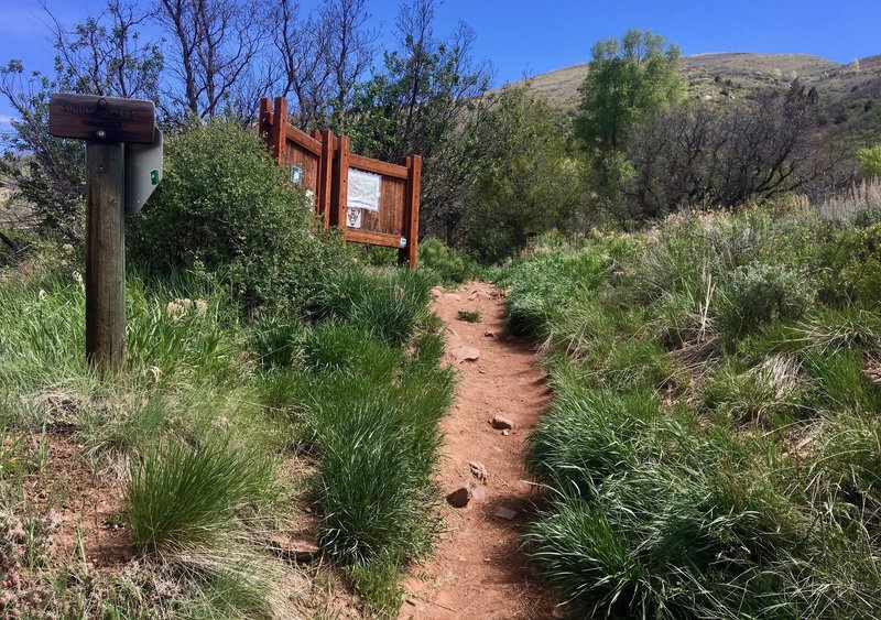 The Sunnyside Trailhead is marked by this signpost and informative kiosk.