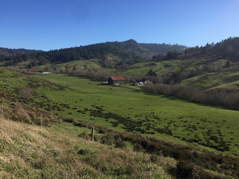 Check out the scenic ranch on Fleener Creek while in the Lost Coast Headlands.