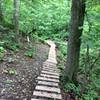 A bit of manufactured "trail" aids your passage over the creek.