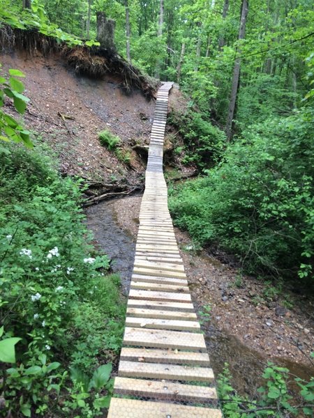 This very sturdy creek crossing was probably meant for mountain bikes originally, but it's equally fun on foot.