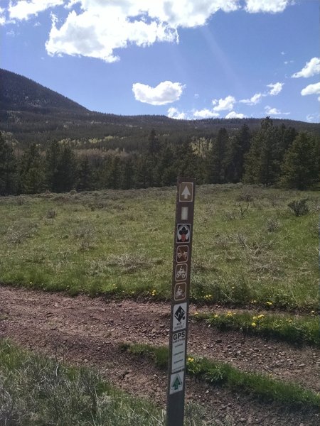 This is the first trail marker past the parking area. The trail will eventually pass through the saddle located directly above the post.