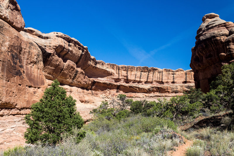 Collins Canyon touts beautiful sandstone walls.