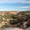 Collins Spring Trailhead presents pleasant desert scenery.