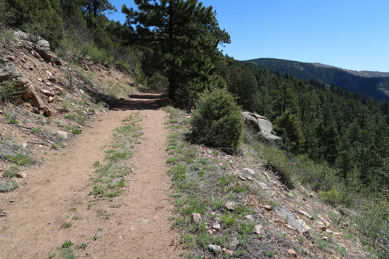 Raven's Roost travels along pleasant, buffed doubletrack.