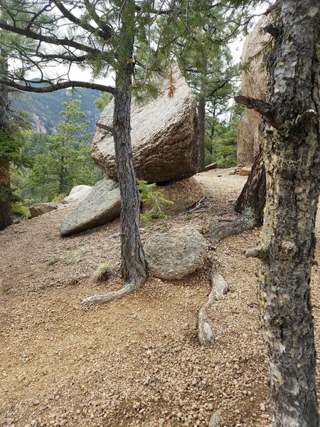 The Jones Park Trail #667 is rife with interesting rock outcroppings.