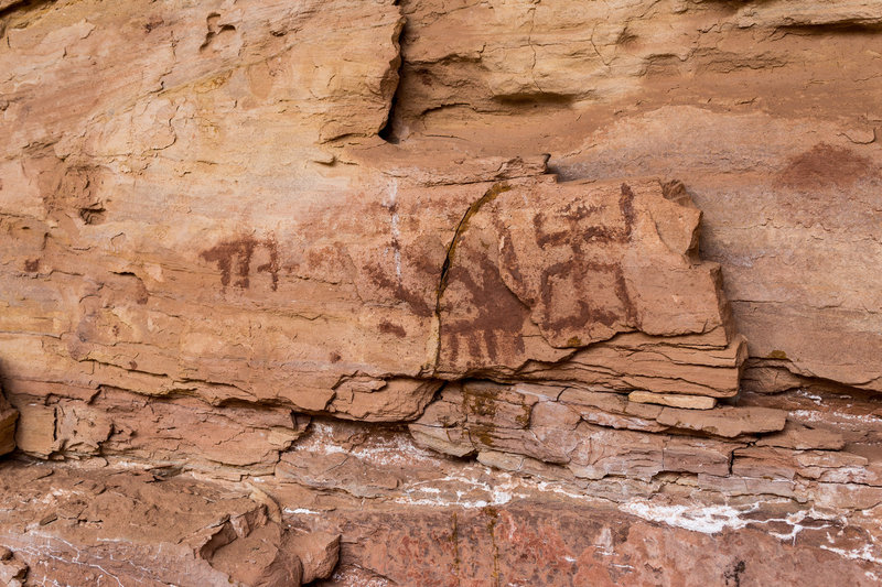 Petroglyphs adorn the alcove wall at Perfect Kiva.