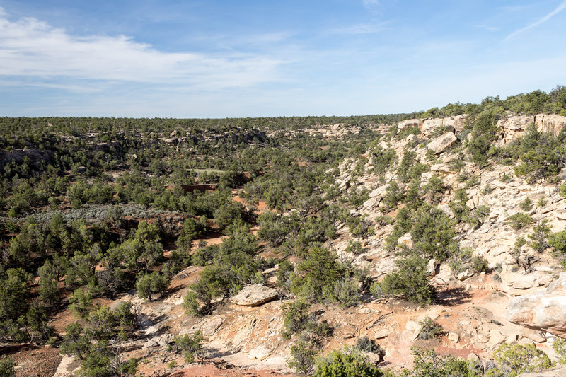 Shallow Bullet Canyon is beautiful from the rim.