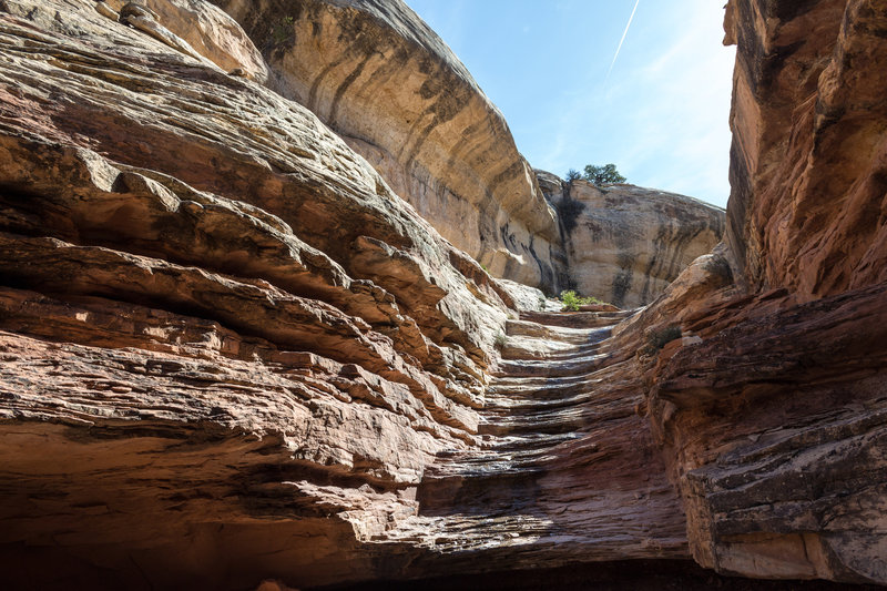 This is the slickrock chute leading to the canyon floor.