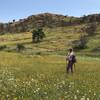 The Bison Trail offers some incredible wildflower meadows in the spring.