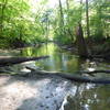 The Calumet River at the western end of the Heron Rookery Trail trickles peacefully in the afternoon sun.