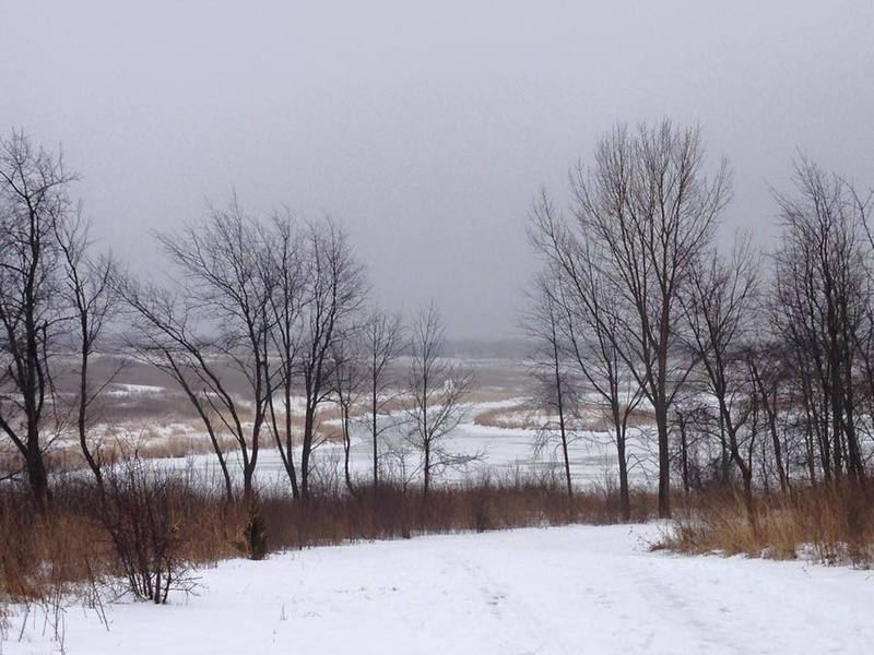 Buffalo Creek quickly freezes over in winter.