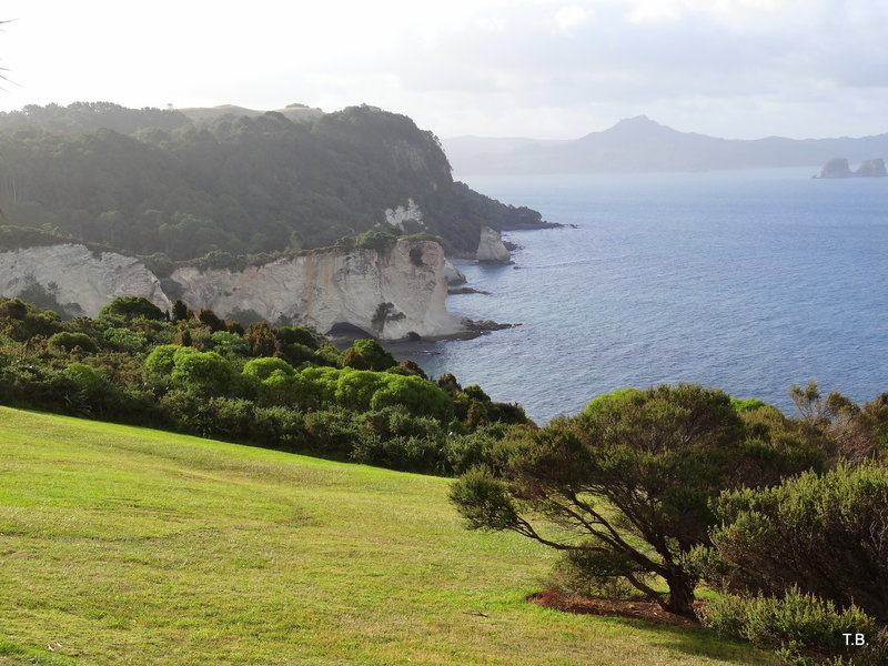 There's a great viewpoint and spot for a picnic near the start of the Cathedral Cove Track.