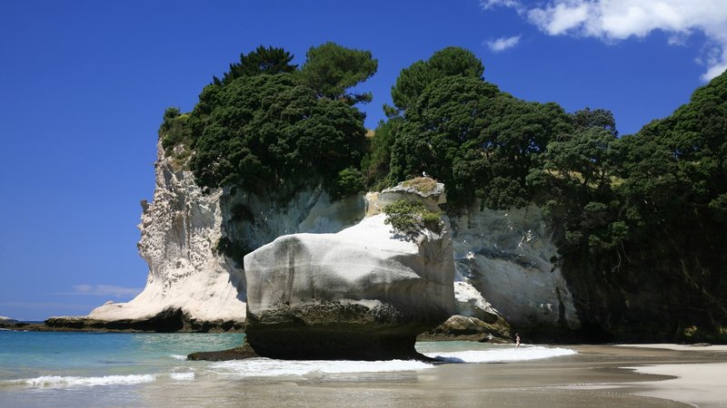 The white limestone cliffs of Cathedral Cove have been wave-sculpted into beautiful natural artwork.