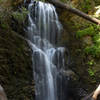 Berry Creek Falls is absolutely stunning in the spring.