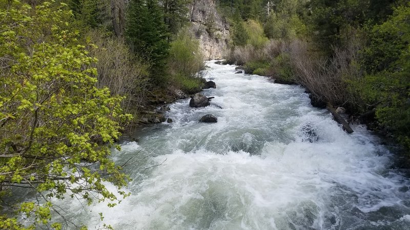 Crossing over the creek, stop for a moment and enjoy the phenomenal scene.