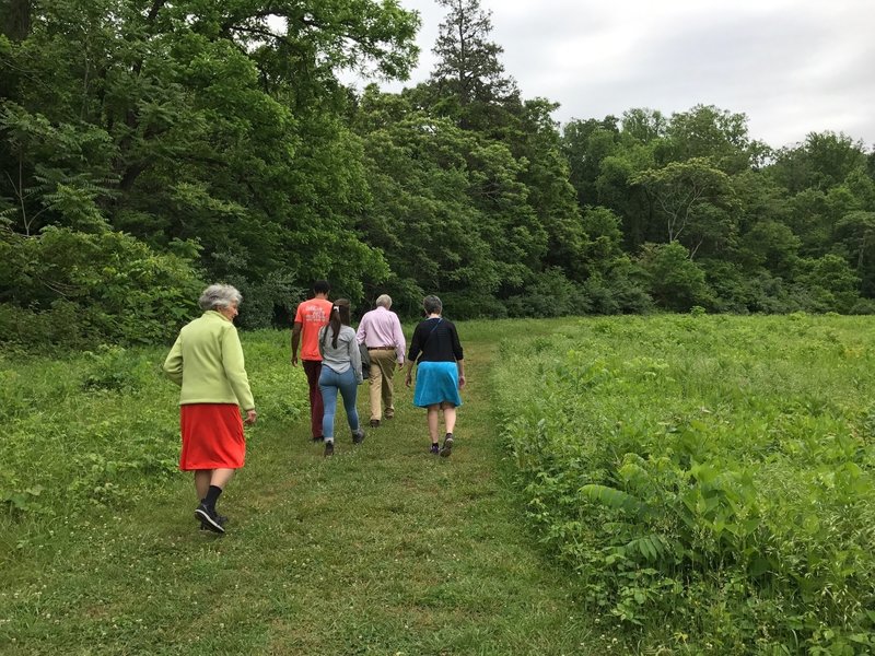 The group breaks out of the trees onto the Upper Meadow Trail along the wide, mowed path. Look out for poison ivy!