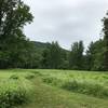 The Upper Meadow Trail travels through verdant, lush fields.