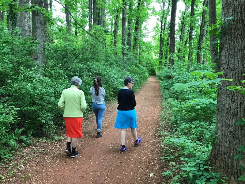 Three generations take a secluded, leisurely stroll through the dense foliage along the Upper Meadow Trail.