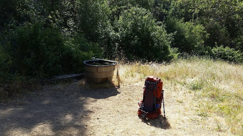 A stock tank marks the end of Hunting Hollow Road. Expect mosquitoes, moss and assorted bugs, and a slow drip from the pipe.