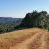 Wide trail, big views, and a steep climb are awaiting you on Wagon Road.