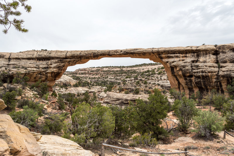 Owachomo Bridge