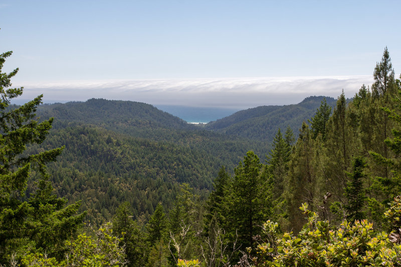 Overlooking the ocean from the Howard King Trail