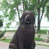 Statue of Seaman, Meriwether Lewis' dog on the Lewis and Clark Expedition.