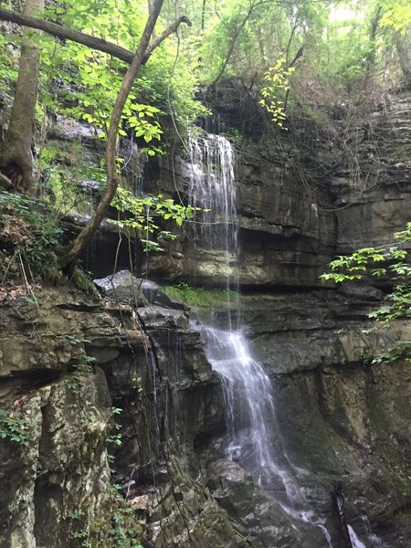 Lost Sinks Waterfall trickles peacefully over the rocks below.