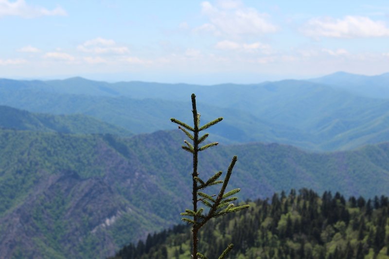 Enjoy beautiful overlooks along the trail.