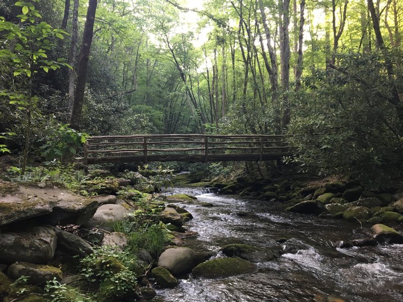 Just past Camp 64, enjoy this great log bridge.