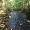 Forney Creek is quite beautiful by Backcountry Camp 71.