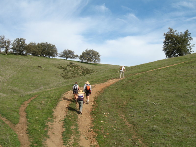 Hikers climb away from Santa Ysabel Creek.