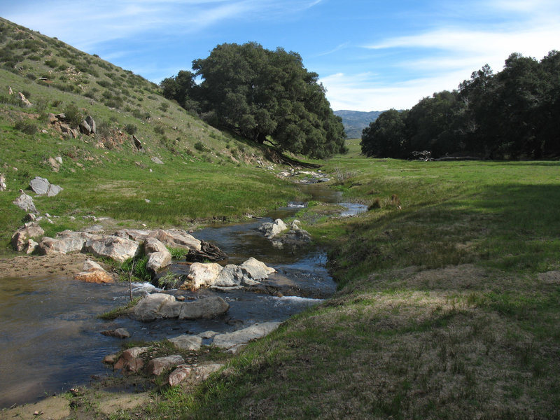 Santa Ysabel Creek is quite beautiful as it flows full of spring runoff.