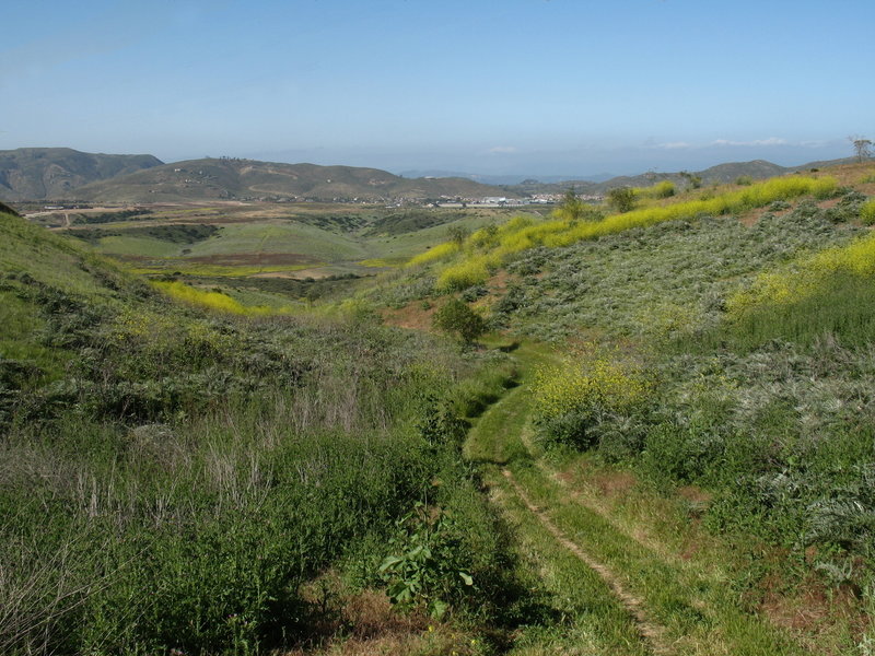 Black Mountain Ranch Park is quite beautiful in its verdant spring form.