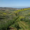 Black Mountain Ranch Park is quite beautiful in its verdant spring form.