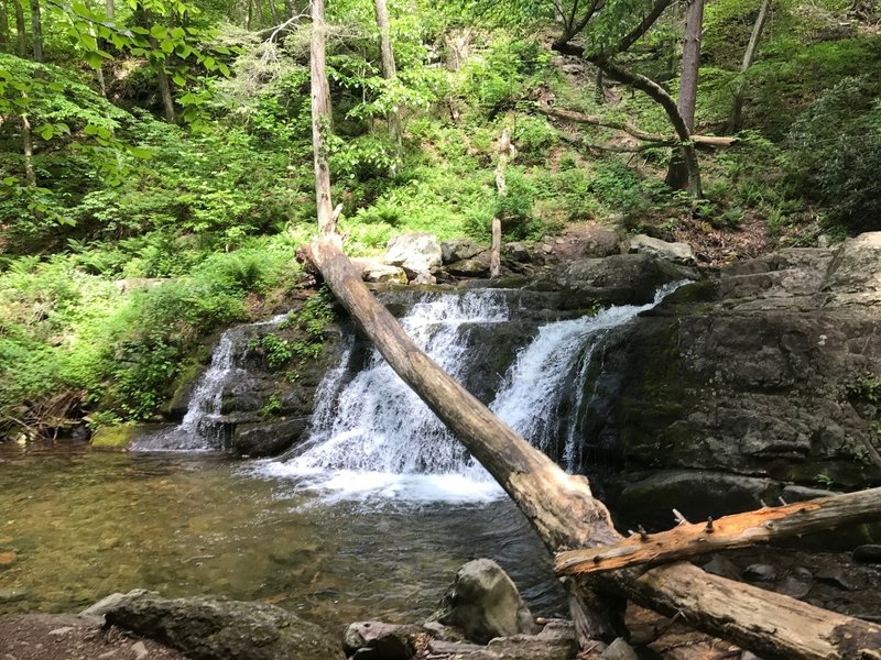 Enjoy a small waterfall on the Dunnfield Creek Trail.