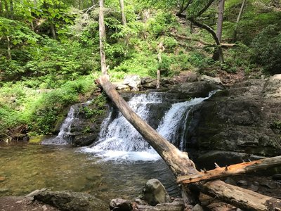 Enjoy a small waterfall on the Dunnfield Creek Trail.