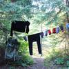 Someone's belongings hang to dry near the trail and Washington Creek Campground.