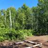 An empty campsite waits for a visitor at South Lake Desor Campground.