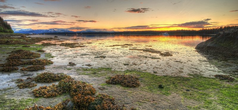 A low-tide view from beside the trail. Photo Credit: NPS Photo/Kyle Pinjuv.