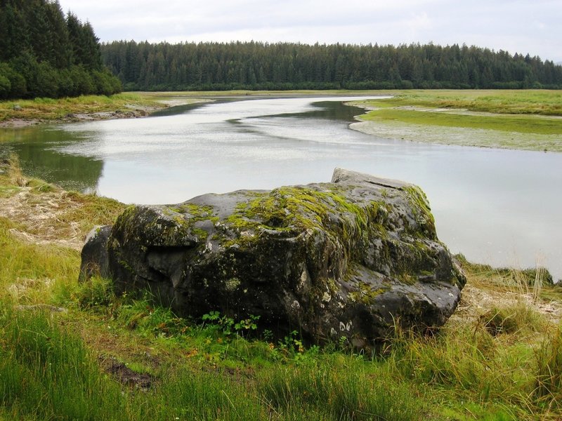 Erratics left over from receded glaciers dot the landscape next to the Bartlett River. Photo credit: NPS Photo.